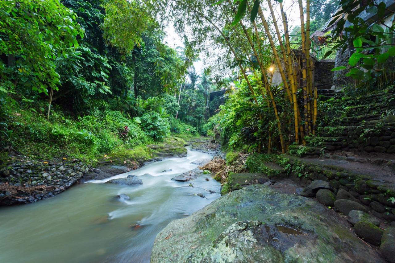 Ani'S Villas Ubud Eksteriør billede